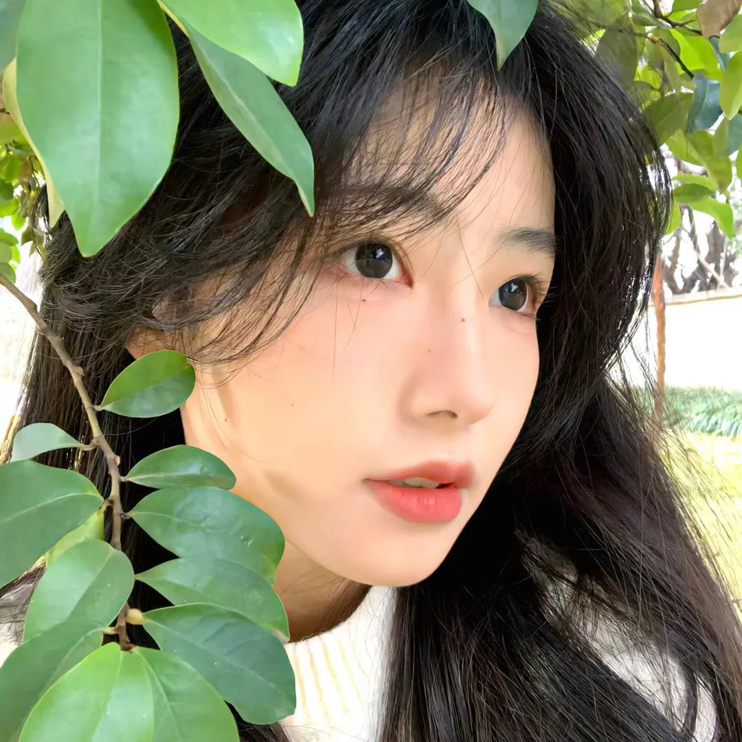 大唐逍遥驸马爷